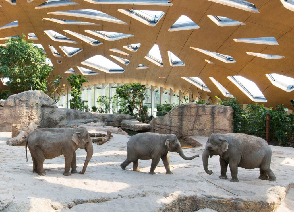 Kaeng Krachan Elefantenpark 001