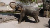 Kaeng Krachan Elefantenpark 005