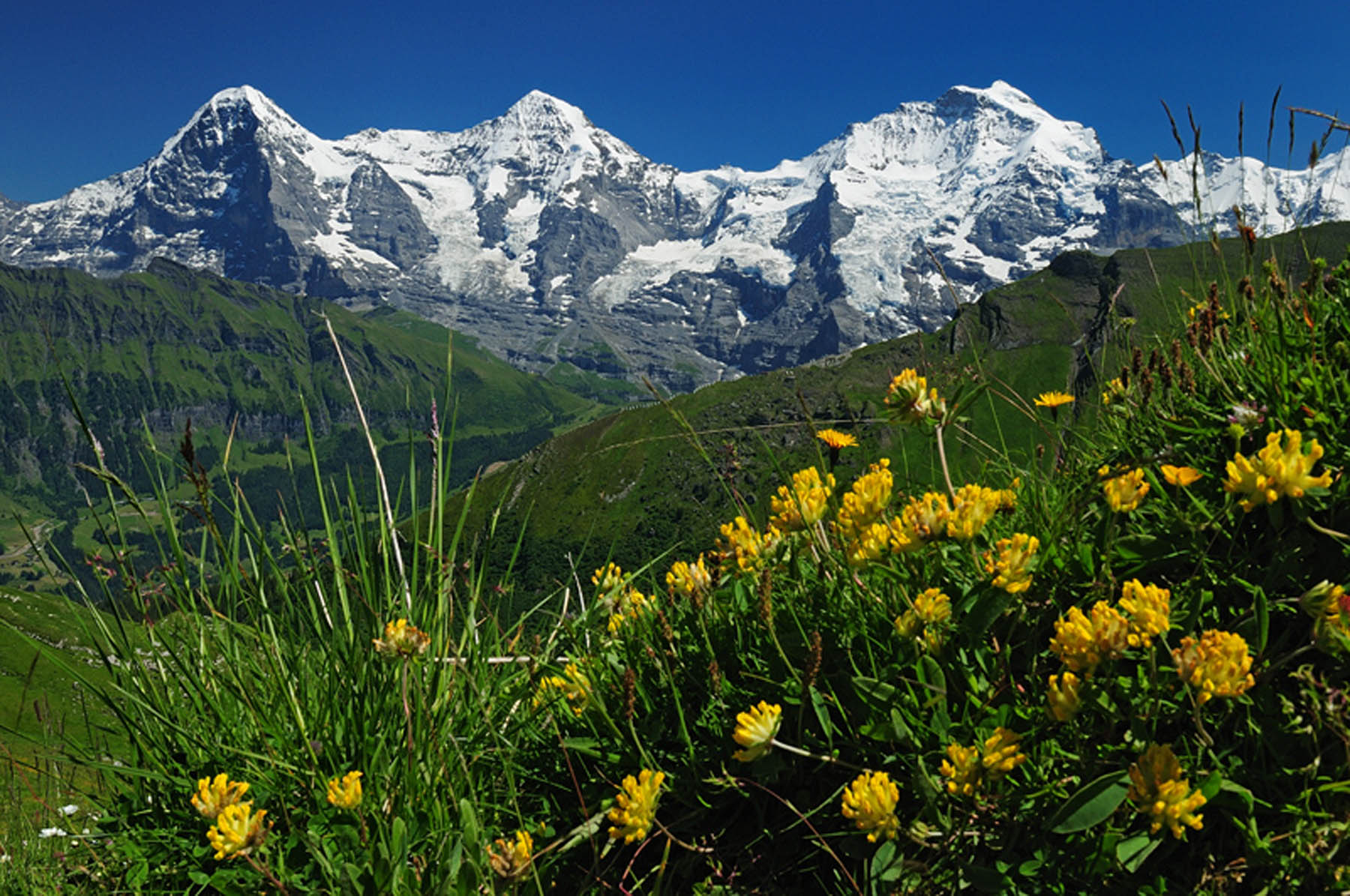 Luftseilbahn Isenfluh Sulwald I Like Switzerland