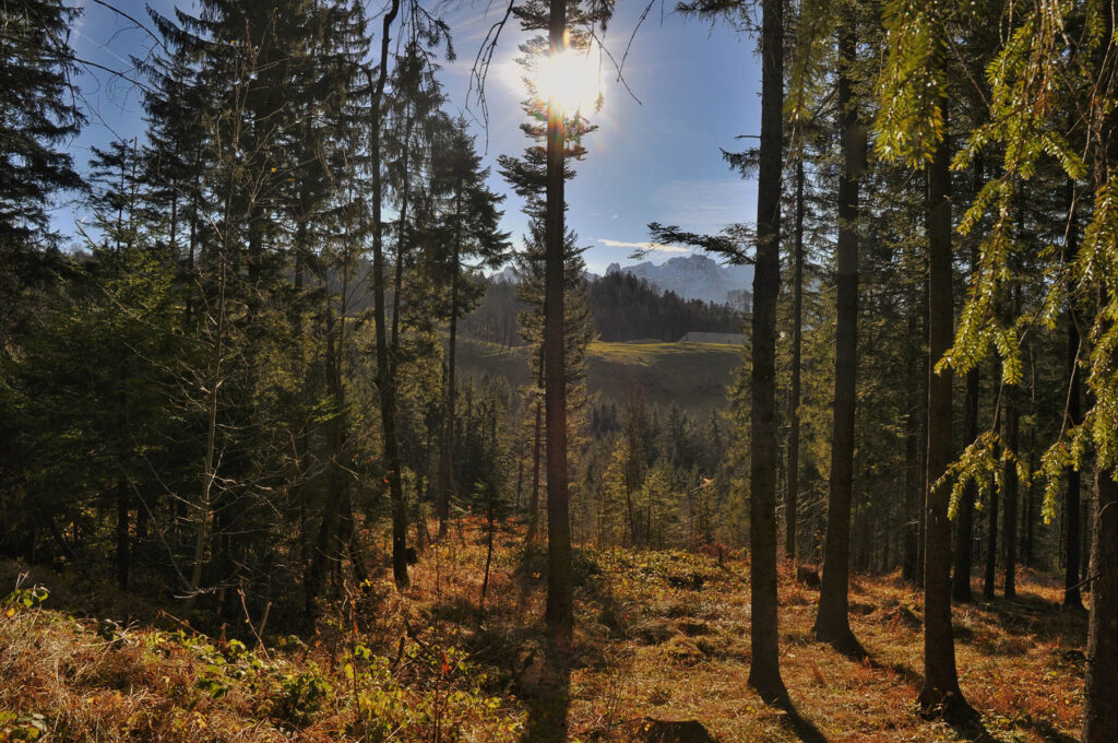 Mythenregion 005