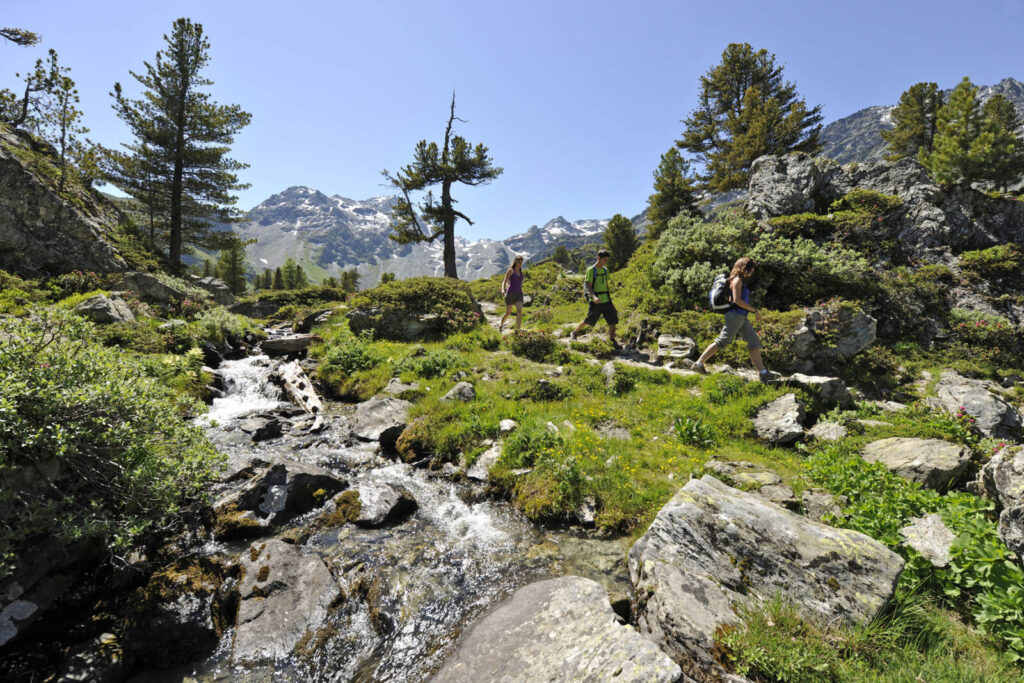 Nendaz Tourisme 007