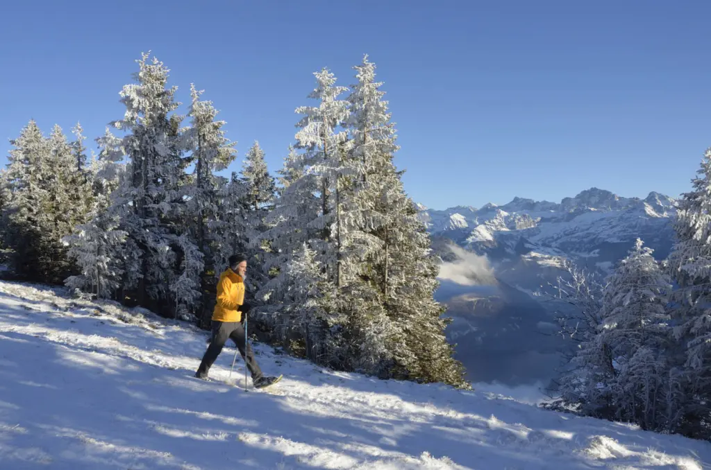 Schneeschuh Foerstertrail 001