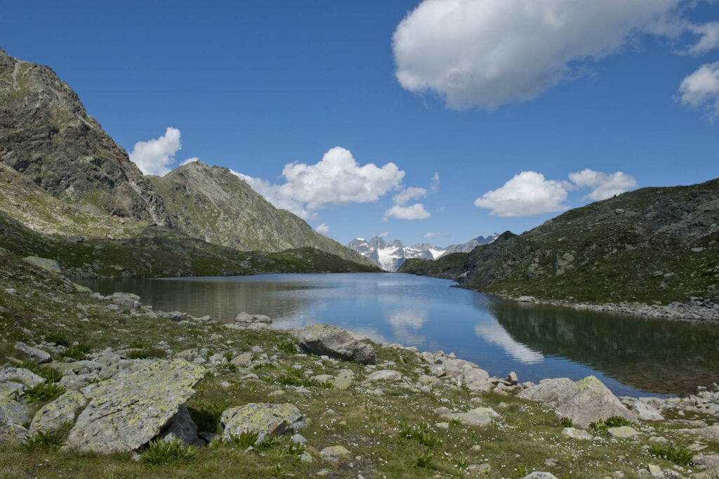 Schweizerischer Nationalpark 005