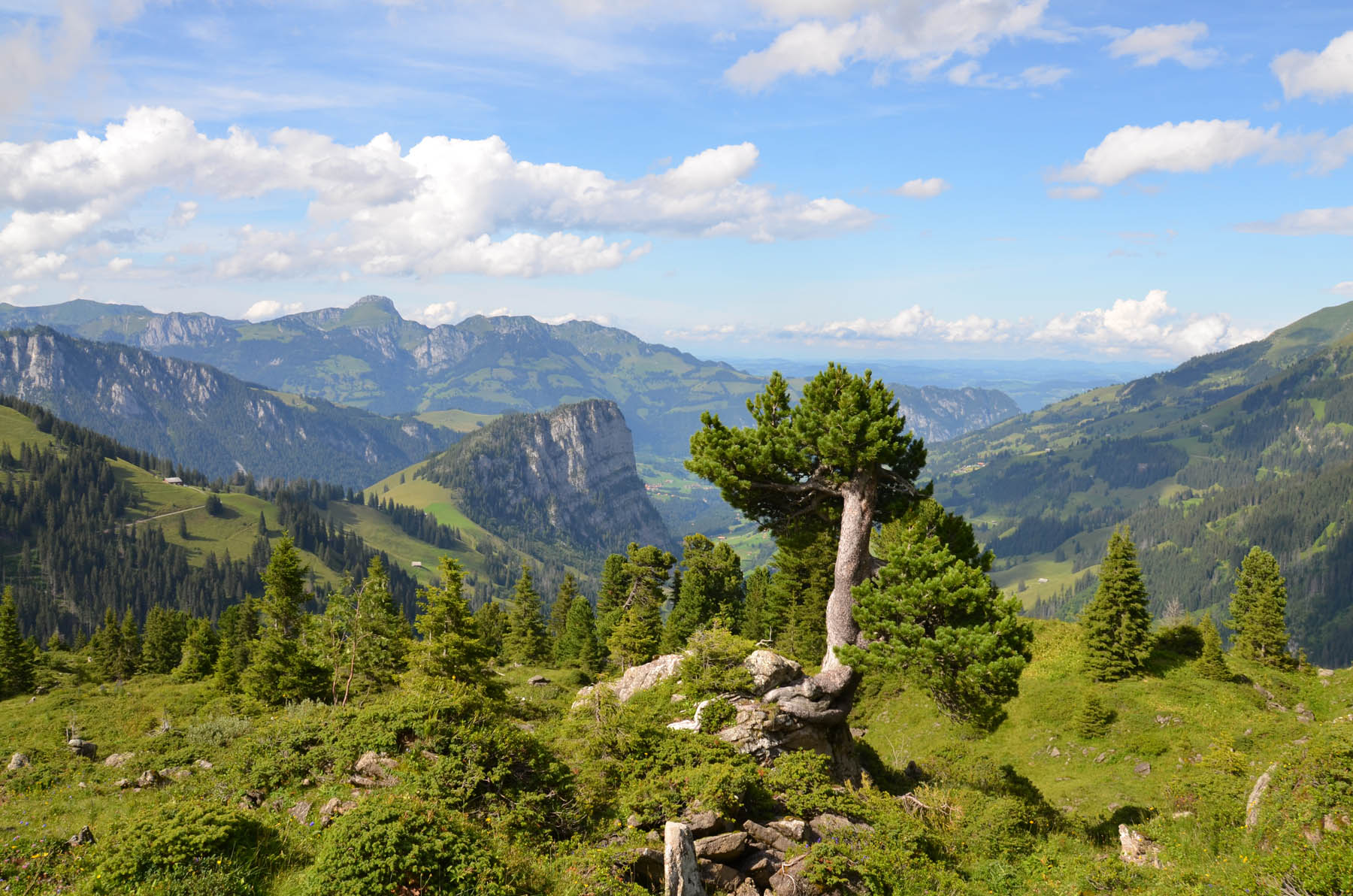 naturpark-diemtigtal-i-like-switzerland