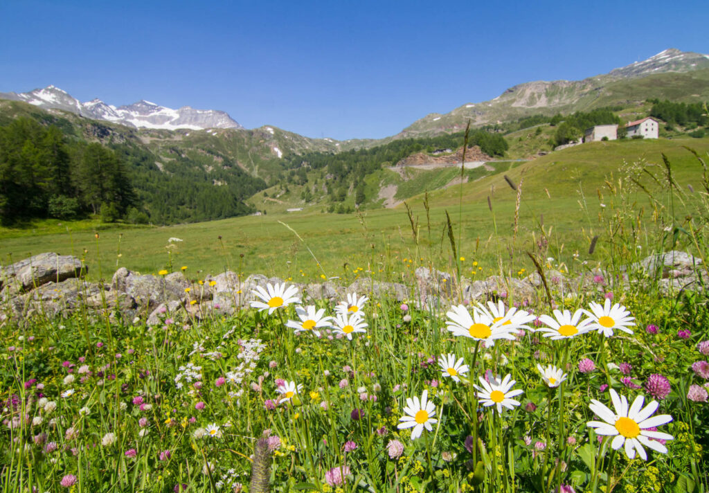 Valposchiavo Turismo 002