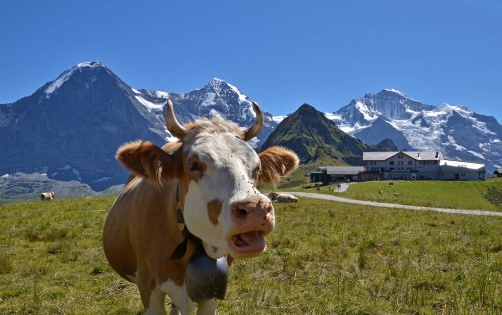 Wengen Tourismus 001