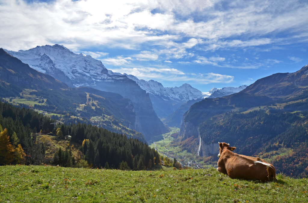 Wengen Tourismus 003