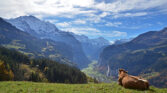 Wengen Tourismus 003