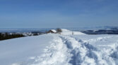 aktivitaeten winter schneeschuhtrails luthern bad willisau wt 5 1