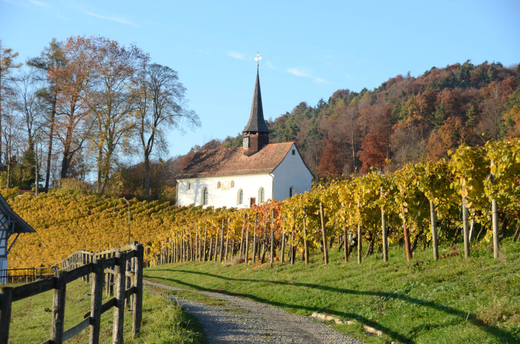 Zürcher Weinland