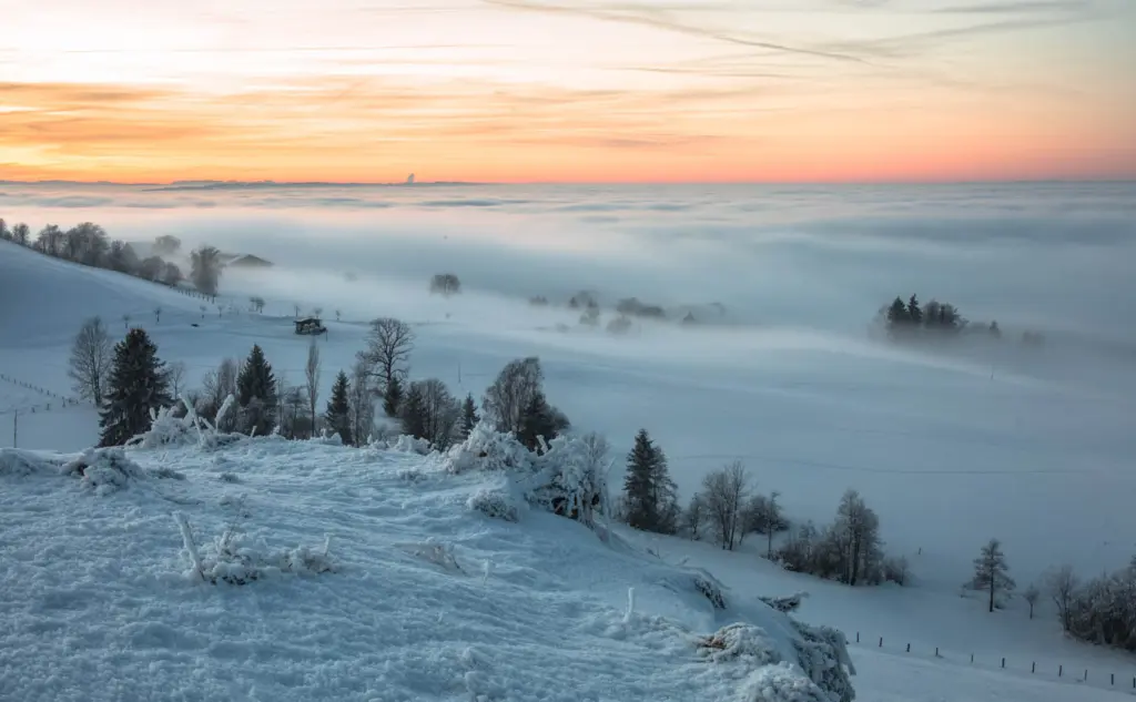 rs19851 nebel 1