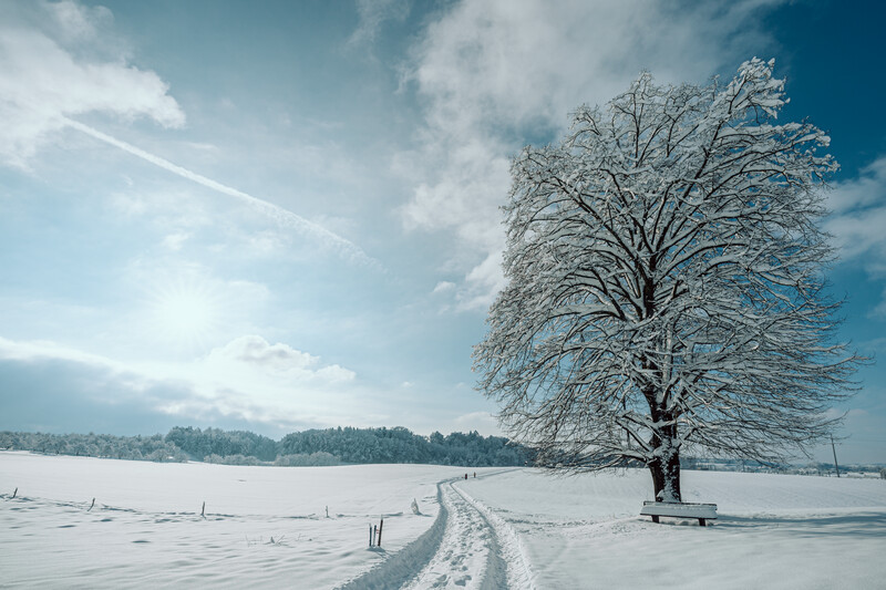 Winter Frauenfeld 1