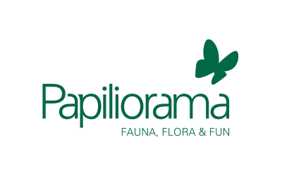 Papilorama : 