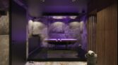 Private Spa Suite Vichy Shower