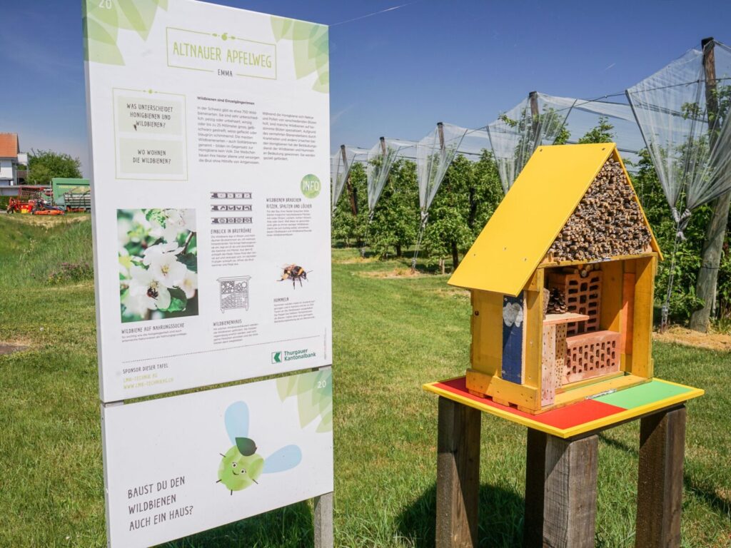 Computerformat 4 3 Altnau Apfelweg Bienen