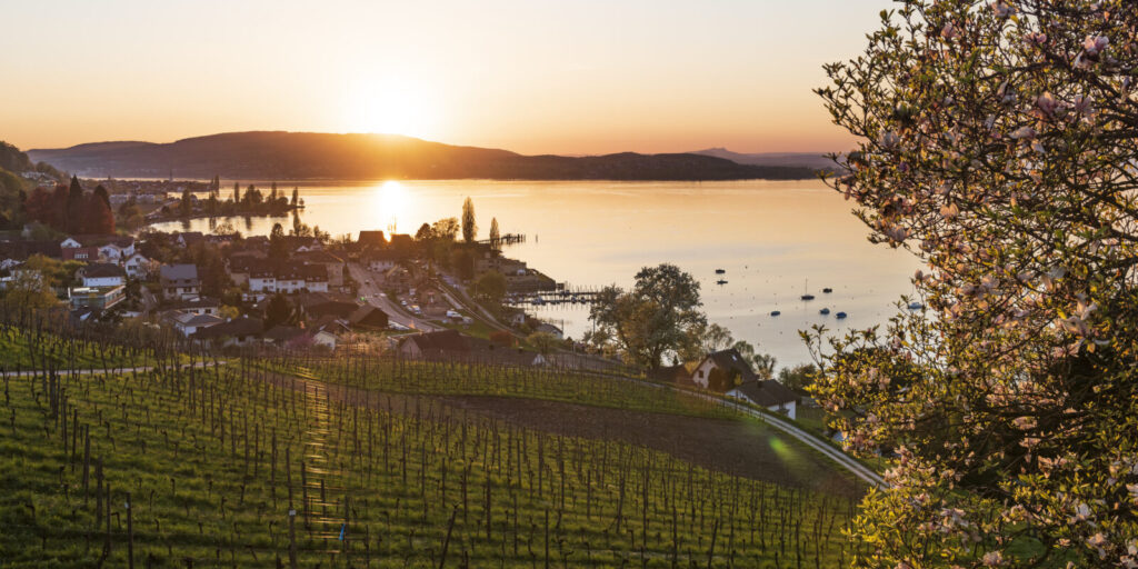 Mannenbach Aussicht See 2