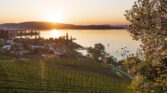 Mannenbach Aussicht See 2