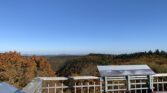 schleitheim randenturm aussicht wald herbst oktober
