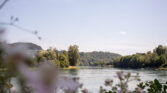 sh rhein blumen unterhalb a4bruecke juni sommer 2