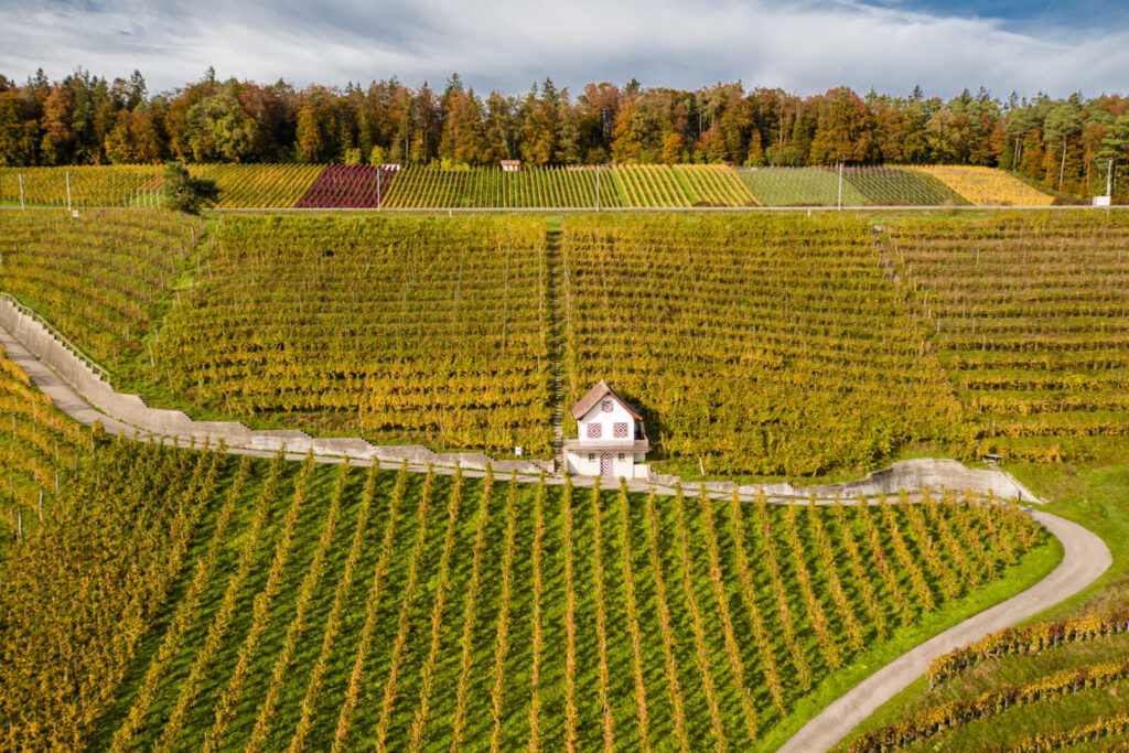 2020 Landschaft Rebberge Raebhuesli 2 Kopie