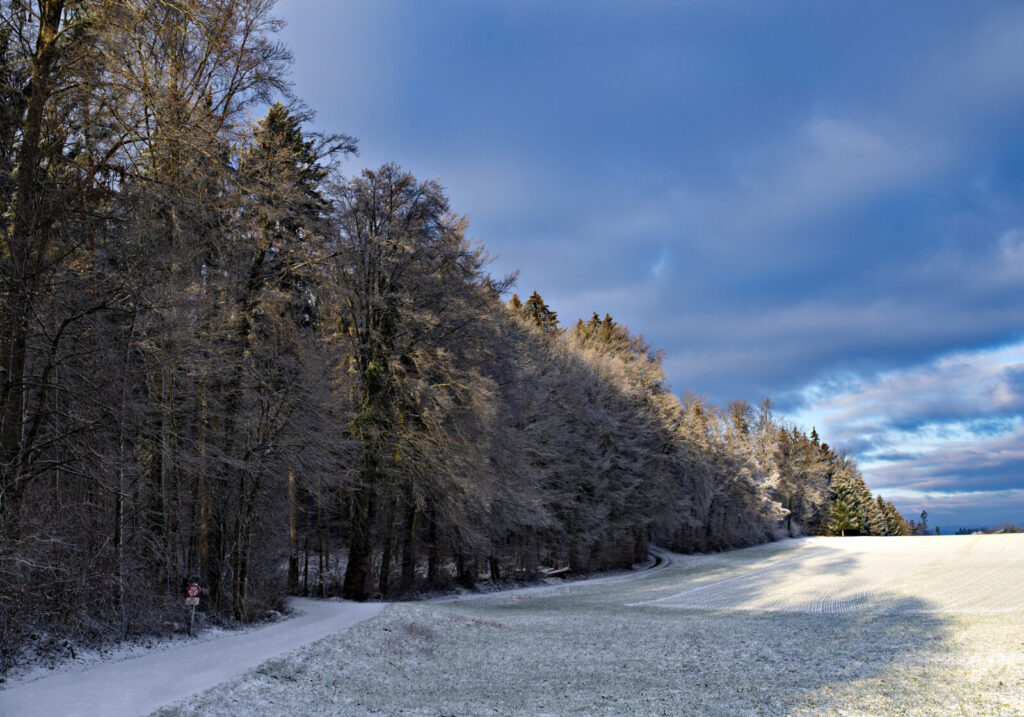 2020 Landschaft Winter 2