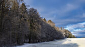 2020 Landschaft Winter 2