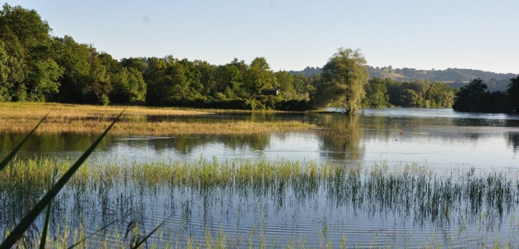 naturzentrum thurauen auenlandschaft flaach