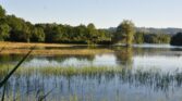 naturzentrum thurauen auenlandschaft flaach