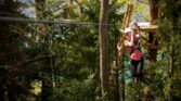 flyingfox druck 10
