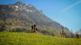 flyingfox druck 12