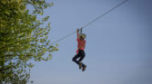 flyingfox druck 17