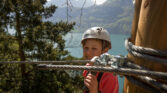flyingfox druck 21