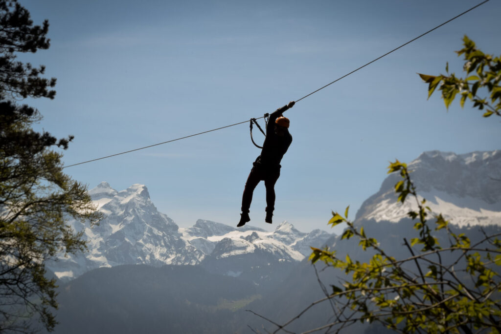 flyingfox druck 4