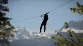 flyingfox druck 4