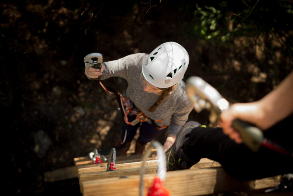 flyingfox druck 5