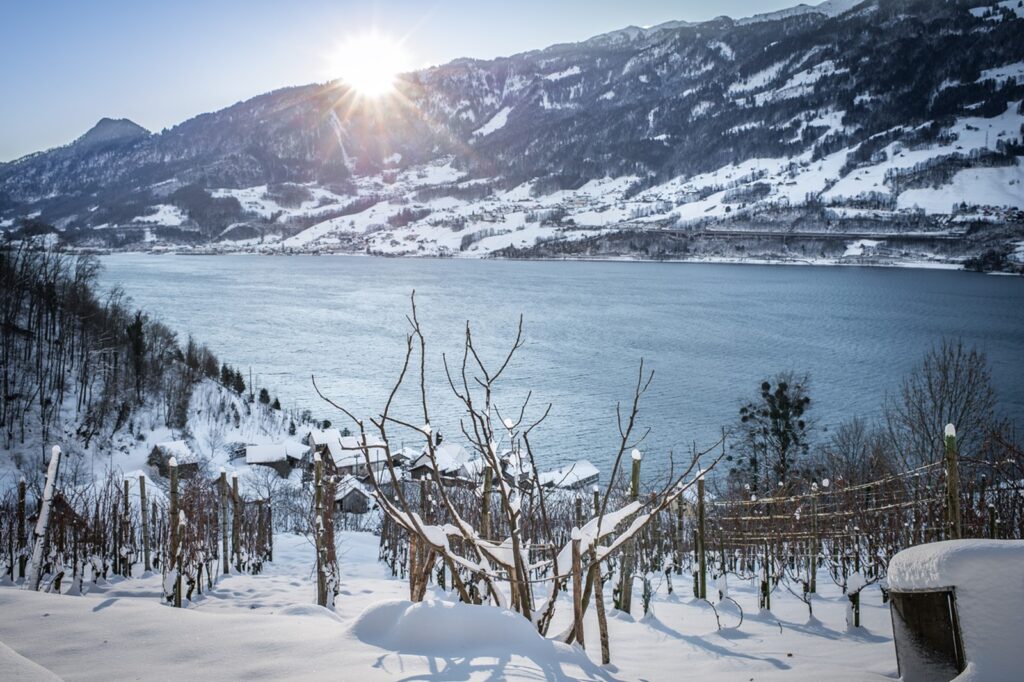 Quinten im Winter