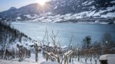 Quinten im Winter