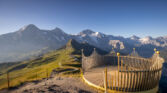RoyalWalk Maennlichen Sommer 6