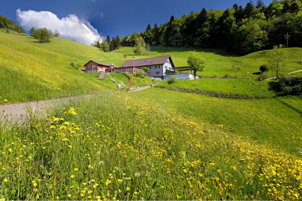 2MOO9374 Thomas Moor thomasfoto.ch Hintere Wasserfallen Ra 3000 2048x1365 1