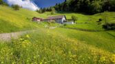 2MOO9374 Thomas Moor thomasfoto.ch Hintere Wasserfallen Ra 3000 2048x1365 1