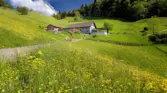 2MOO9374 Thomas Moor thomasfoto.ch Hintere Wasserfallen Ra 3000 2048x1365 1