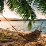 Perfekter Service, perfektes veganes Menü