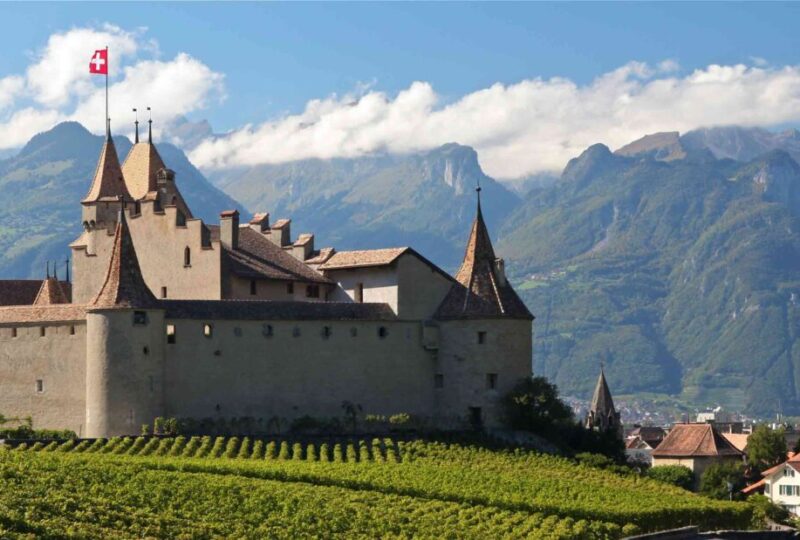 Aigle Automne Chateau Vignes fond 2